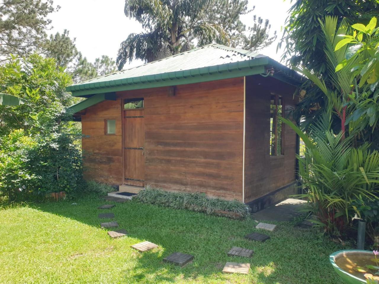 艾拉山舒适小屋 埃拉 外观 照片