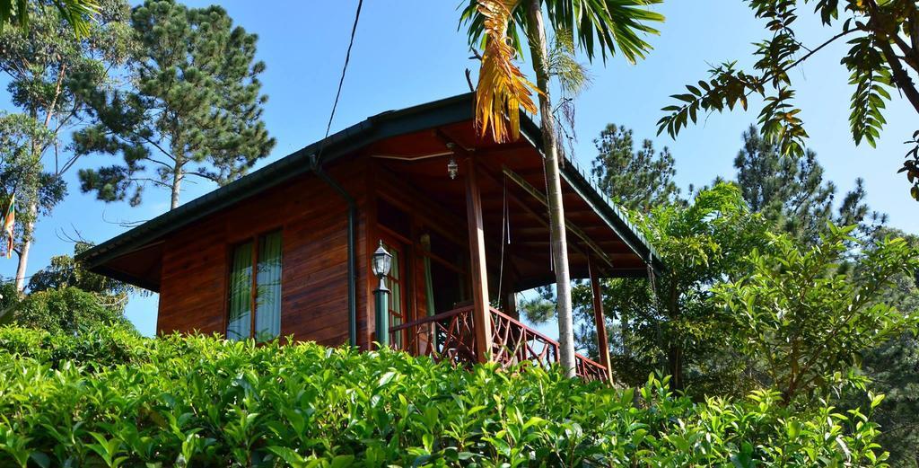 艾拉山舒适小屋 埃拉 外观 照片