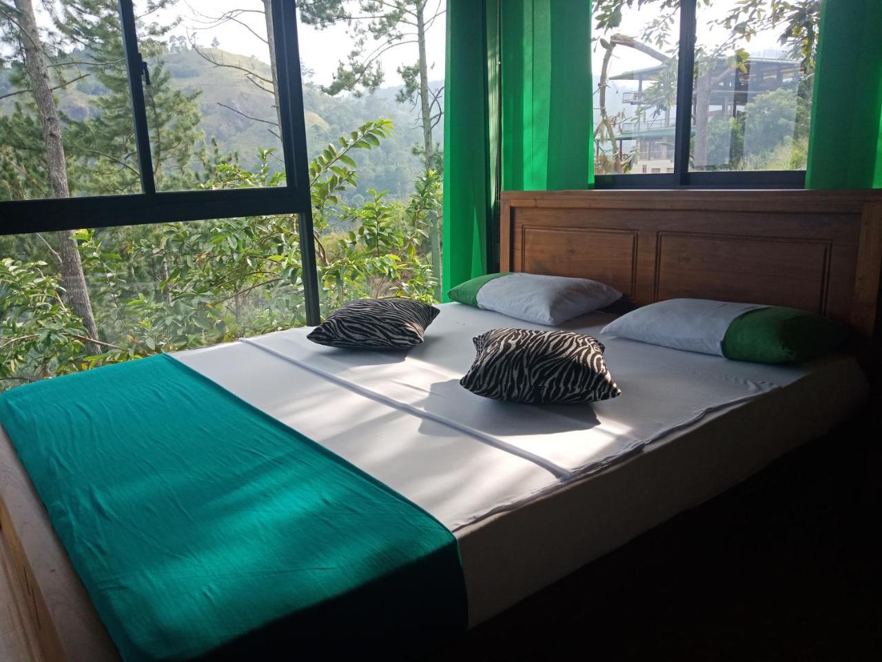 艾拉山舒适小屋 埃拉 外观 照片